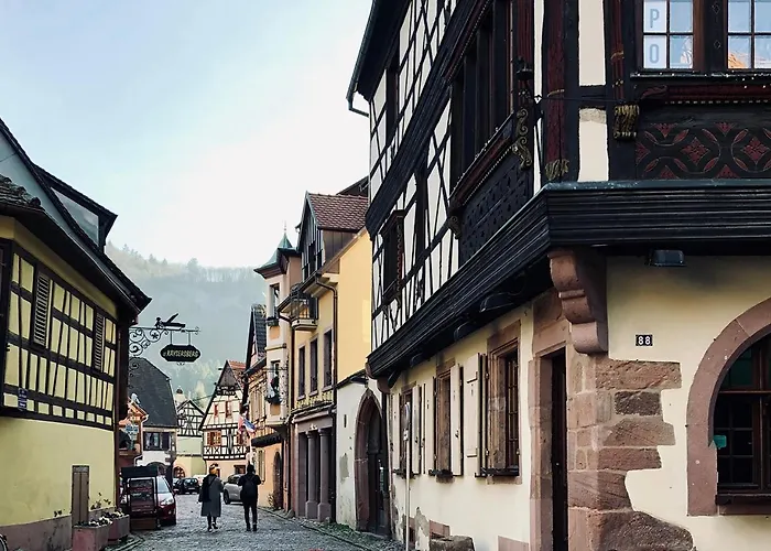 Maison Duplex, Avec Terrasse Dans Strasbourg