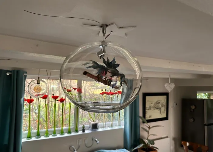 L'Atelier Au Jardin